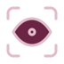 Icon remote identification