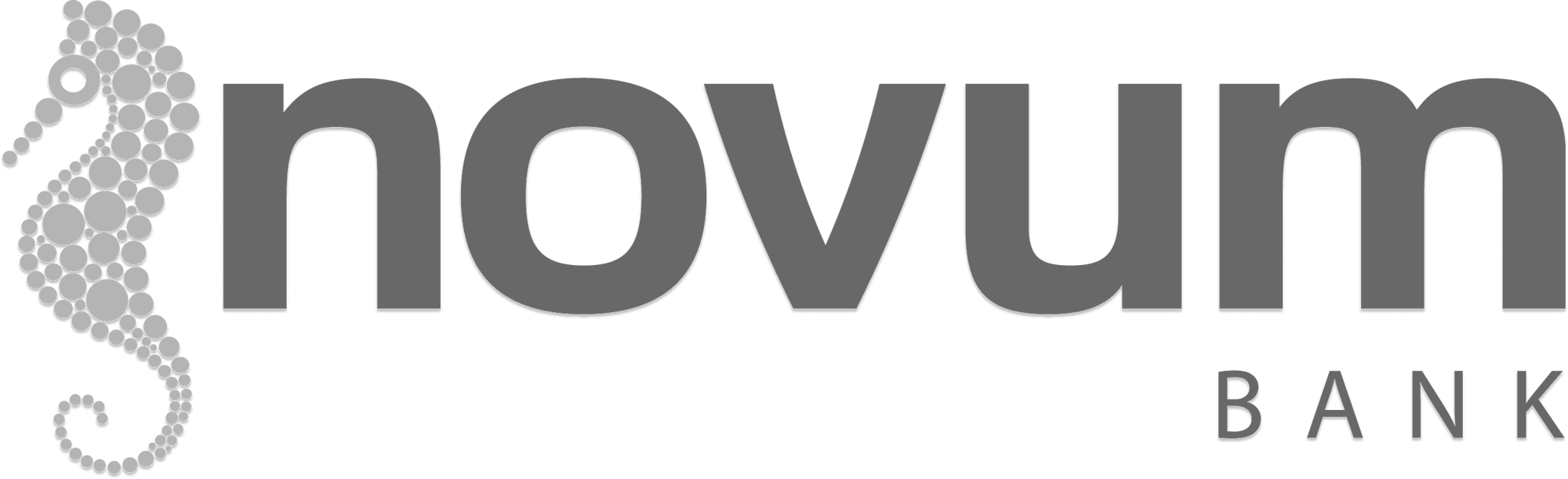 NOVUM-LOGO-definitief_kleur 1